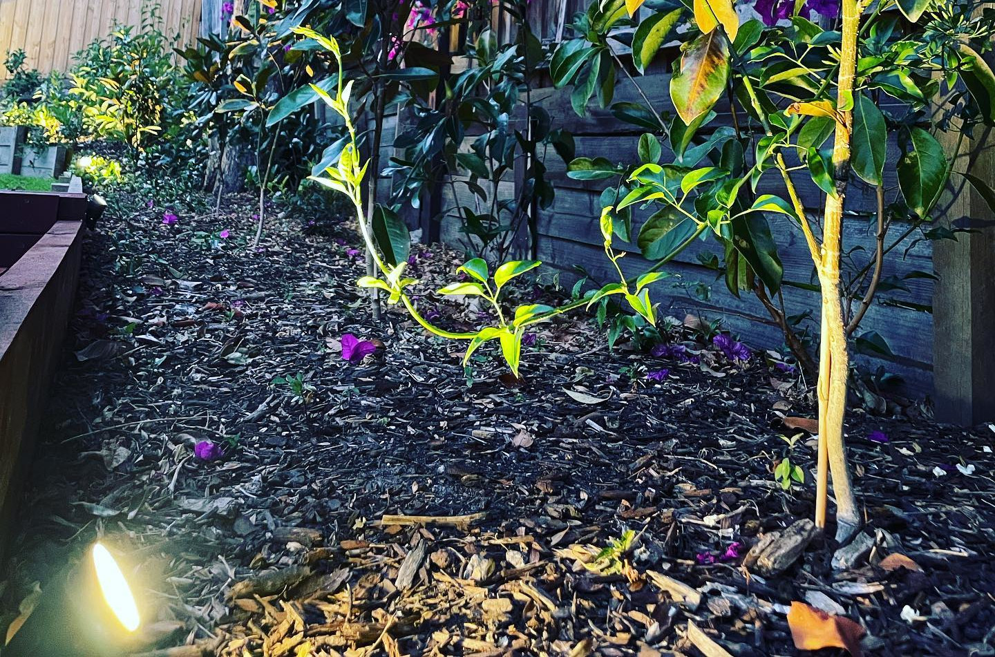 Garden Lighting Melbourne